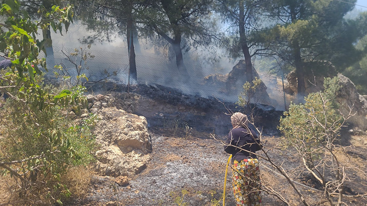 Kahramanmaraş'ta orman yangını: Alevler havadan ve karadan kontrol altına alınmaya çalışılıyor