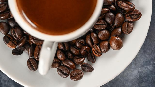 Kahve Kokusu Ruh Halini ve Beyin Dalgalarını Değiştiriyor
