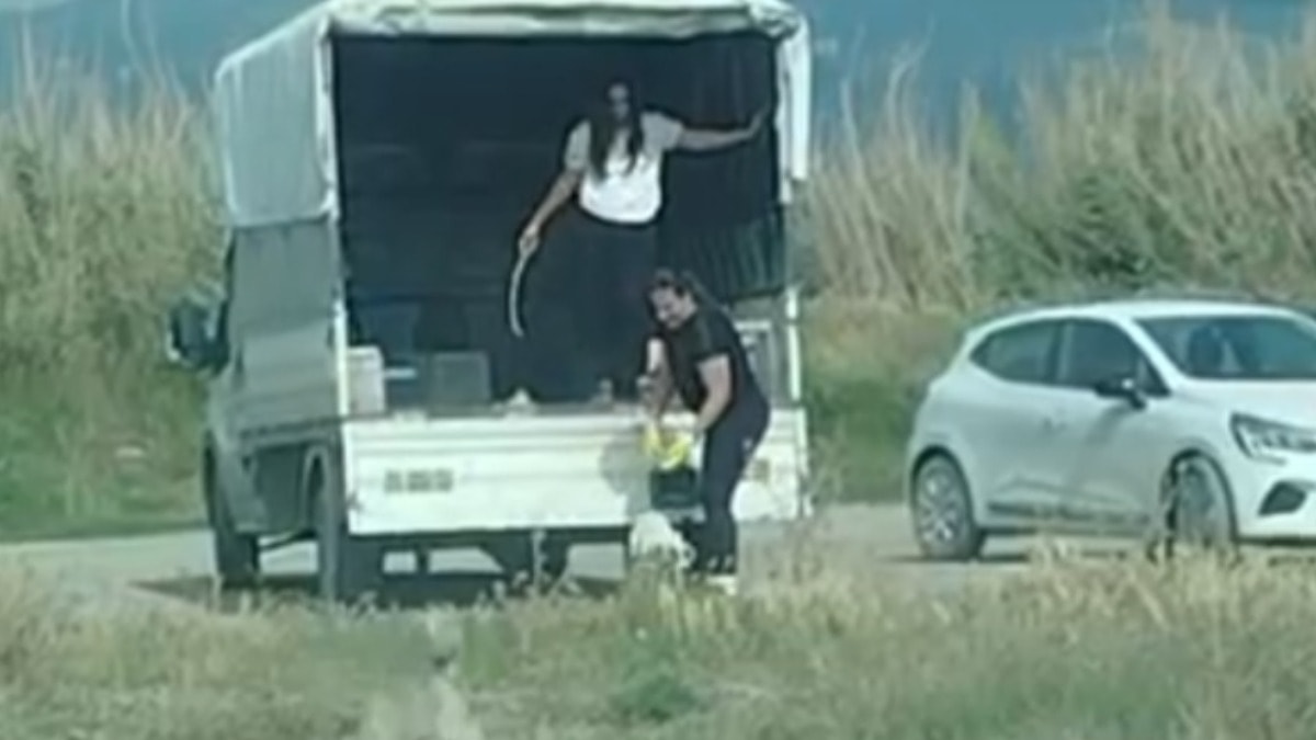 Kamyonetle Milleyha Sulak Alanı'na köpek bırakma skandalı