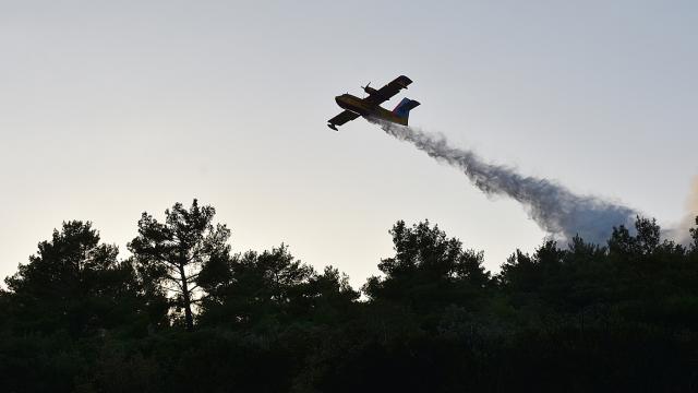 Kanada'da yangın söndürme uçağı düştü: 3 ölü