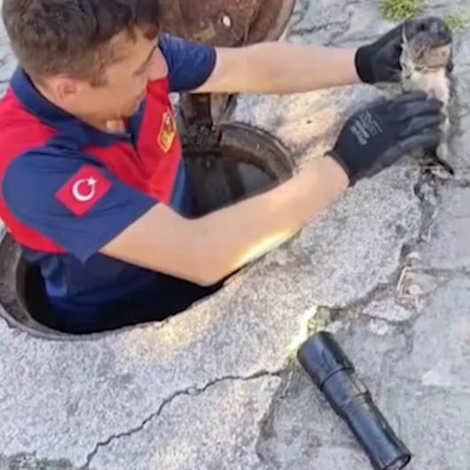 Kanalizasyona Düşen Yavru Kedi İtfaiye Ekipleri Tarafından Kurtarıldı