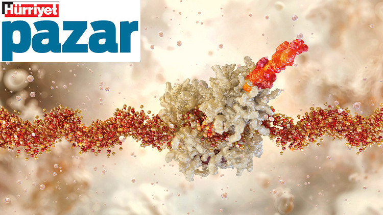 Kanser Hücrelerini İfşa Eden mRNA Aşısı Başarılı