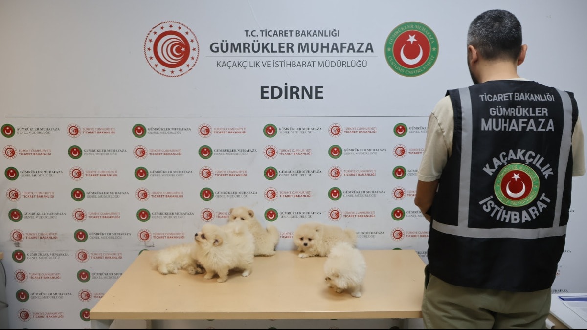 Kapıkule'de 472 bin liralık kaçak eşya ele geçirildi