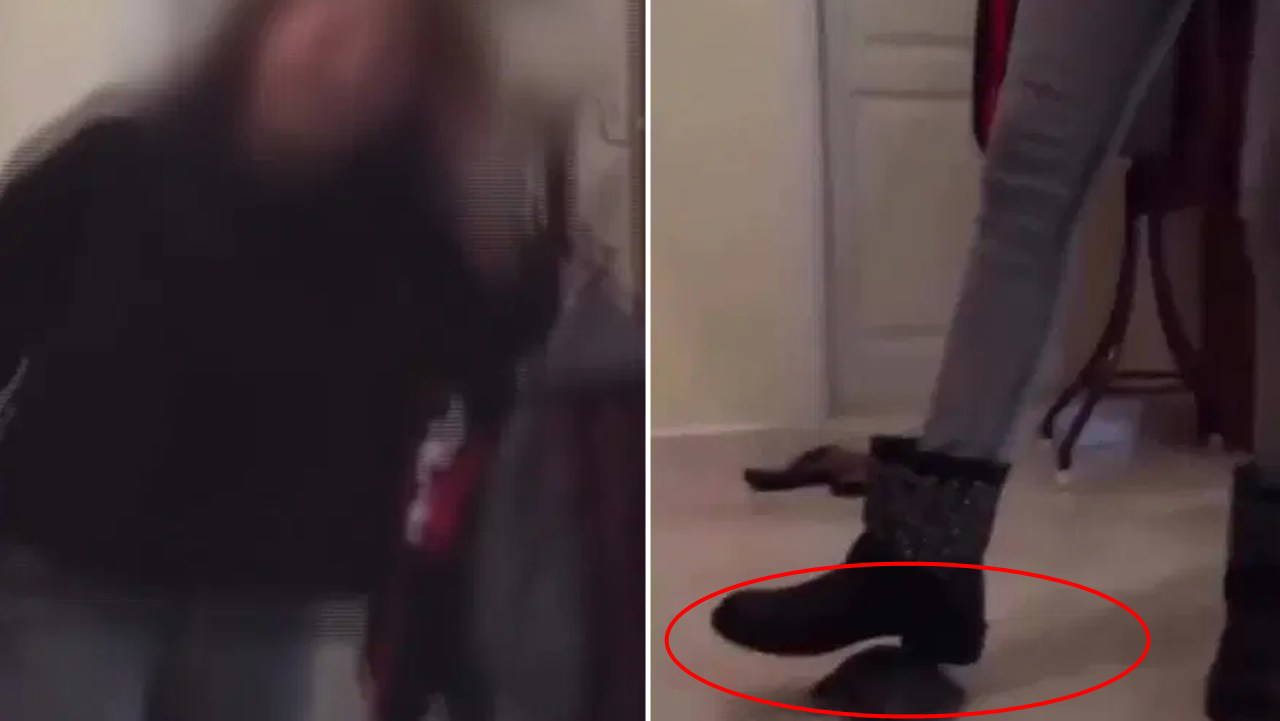 Kaplumbağayı Ezen Şüpheli Gözaltına Alındı