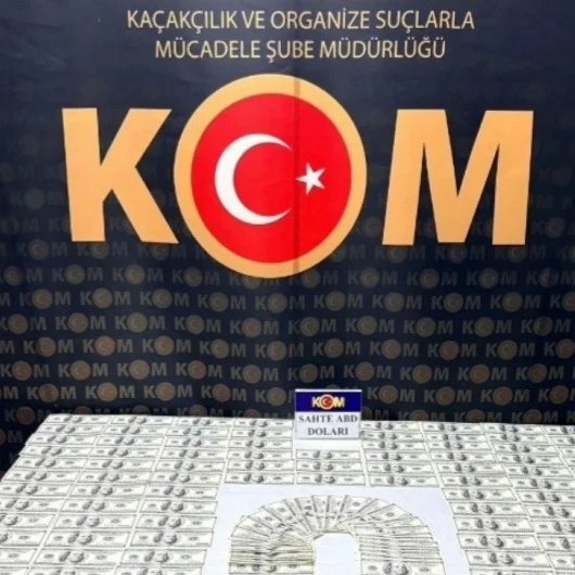 Karabük'te Sahte Dolar Operasyonu: 11 Bin 700 Dolar Ele Geçirildi