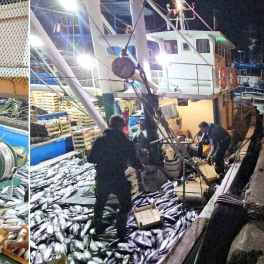Karadeniz'de Palamut Bereketi: 3 Saatte 1500 Kasa