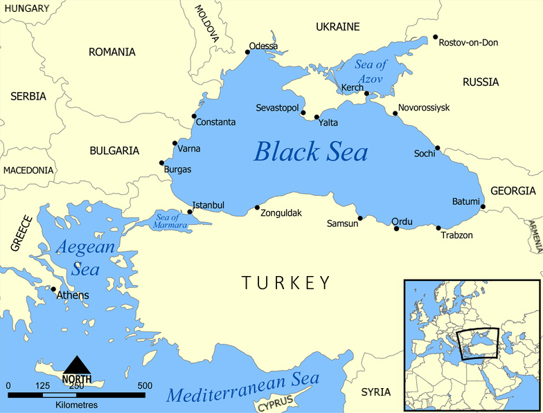 Karadeniz'deki Sahillerde Binlerce Deniz Anası Görüldü