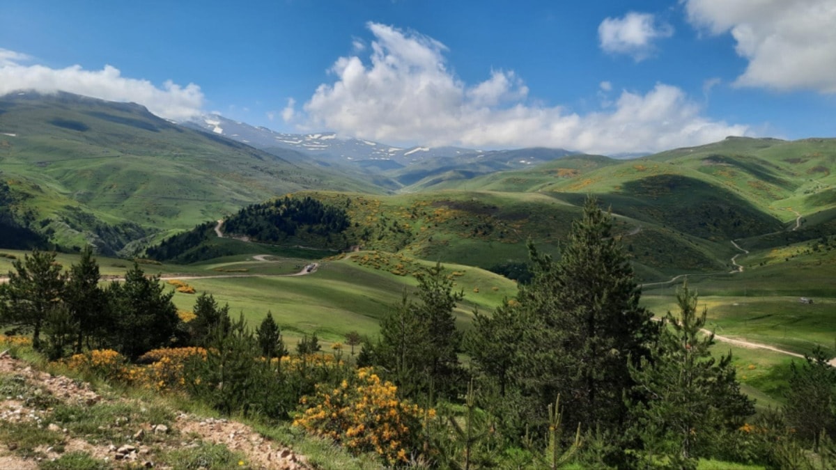 Karadeniz yaylalarında rant hırsı: Doğal güzellikler betonlaşma tehdidi altında