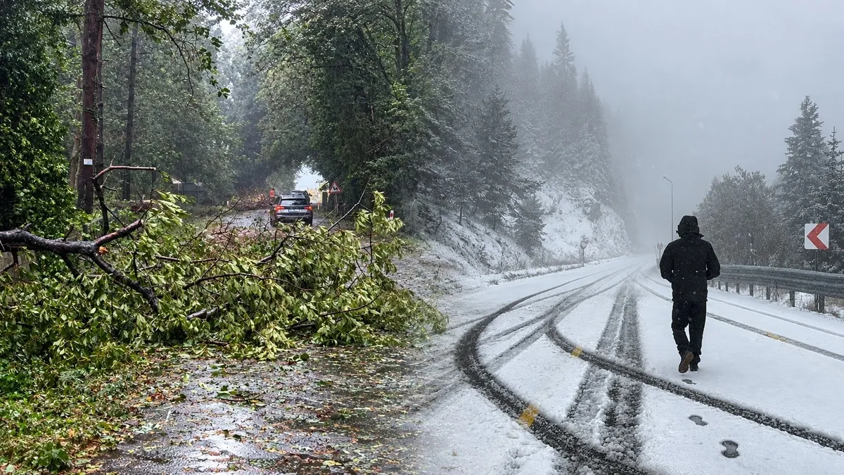 Karadeniz'de Fırtına ve Sel Alarmı: Rüzgar 116 km'ye Ulaştı, Ilgaz'a Kar Yağdı