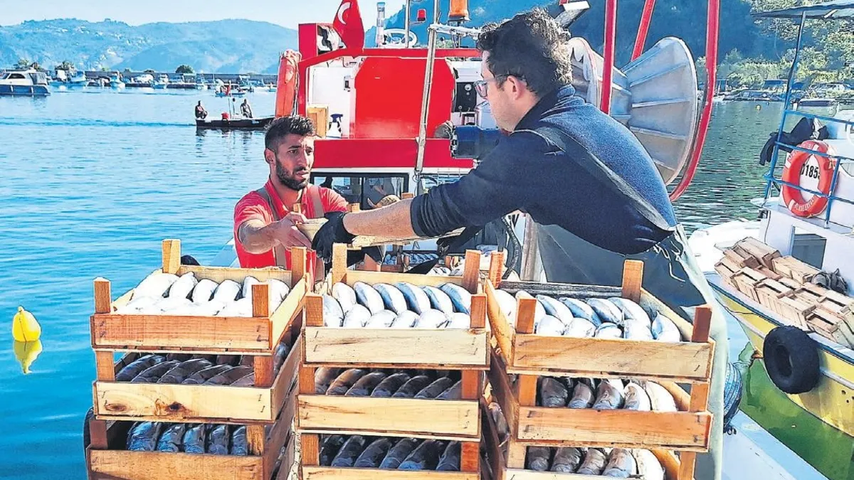 Karadeniz'de Palamut Bereketi: Yeni Sezon Törenlerle Açıldı
