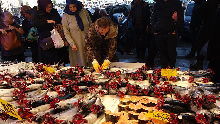 Karadeniz'de Palamut Bolluğu: Tanesi 125 TL, Balıkçılar Uyarıyor