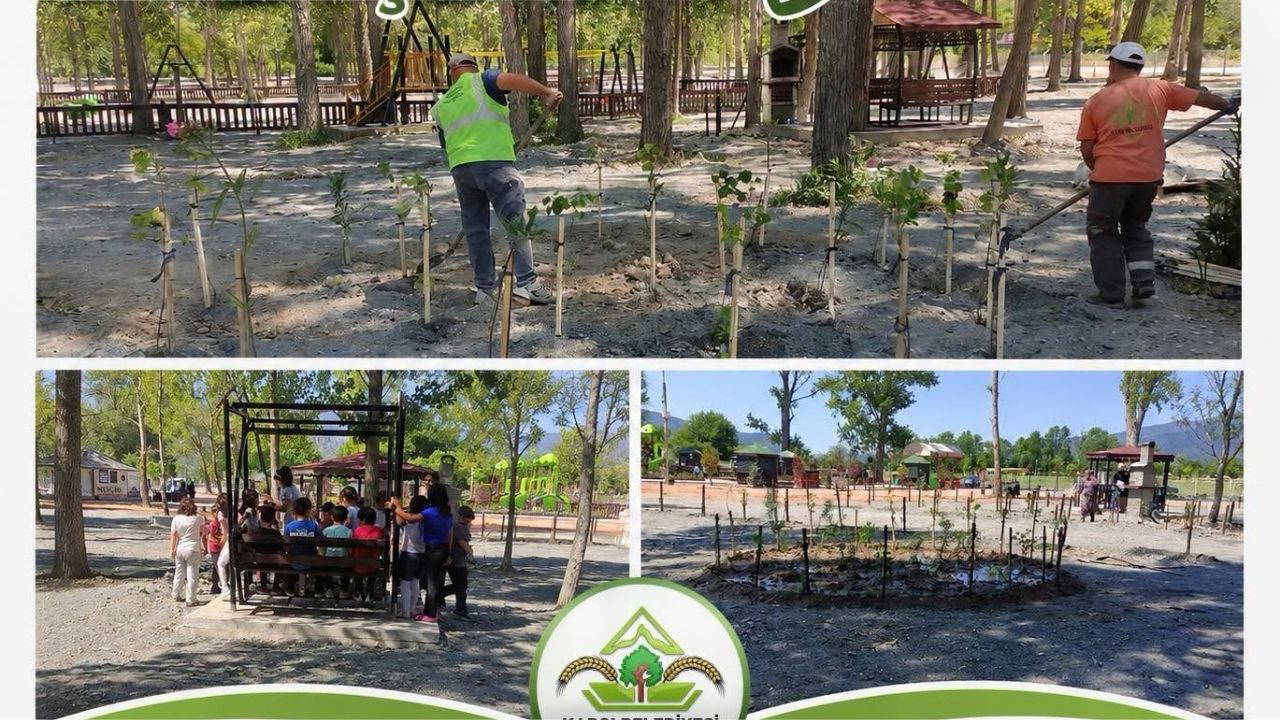 Kargı Belediyesi'nden Park ve Yeşil Alanlara Yaz Bakımı