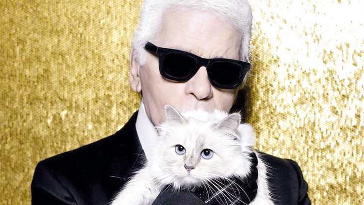 Karl Lagerfeld'in Kedisi Choupette 7 Yıldır Mirasını Alamıyor