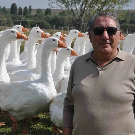 Kars'ta Eski Belediye Başkanı Kaz Yetiştiriciliğine Başladı