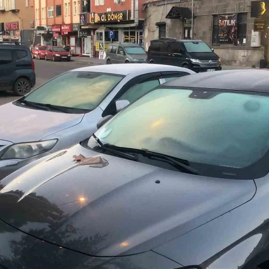 Kars'ta Sabah Buzu: Eksi 7 Derecede Araç Camları Dondu