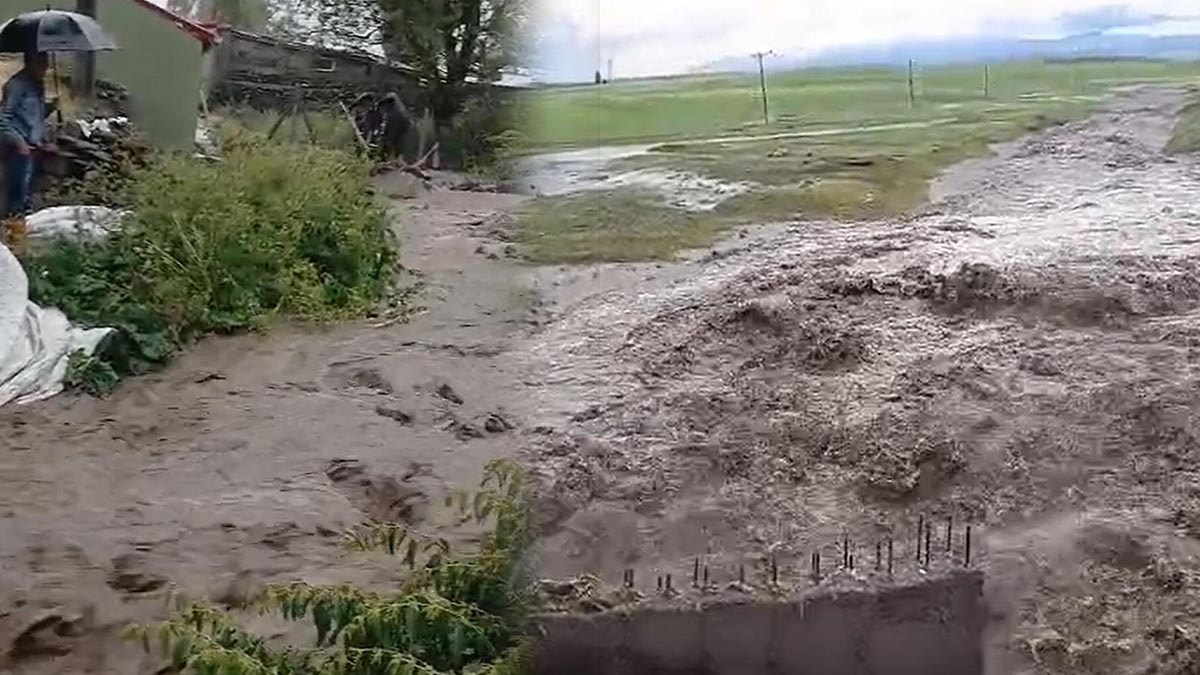 Kars'ta aşırı yağışlar sele yol açtı, tarım arazileri su altında
