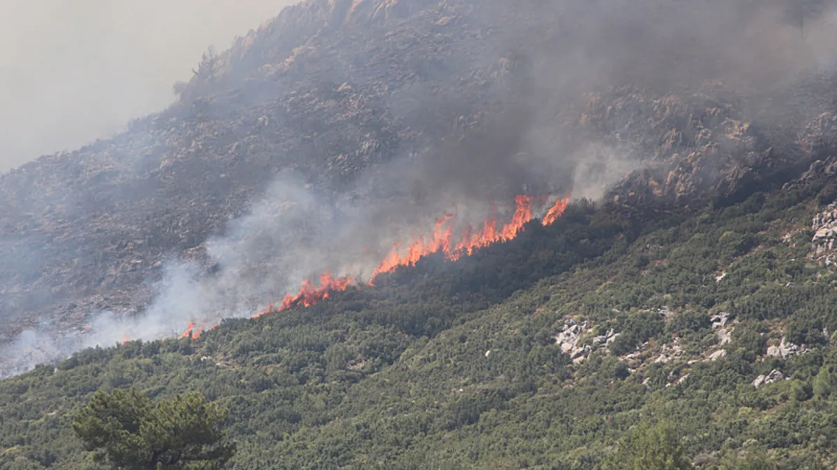 Kaş'ta Orman Yangını: Alevler Kontrol Altına Alındı