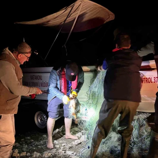 Kastamonu'da Baraj Göletindeki Kaçak Ağlardan 225 Sazan Kurtarıldı