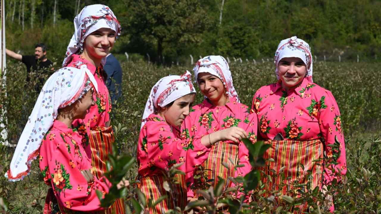 Kastamonu'da boş tarlalar altın değerinde: Fidan dikip köşeyi döndüler