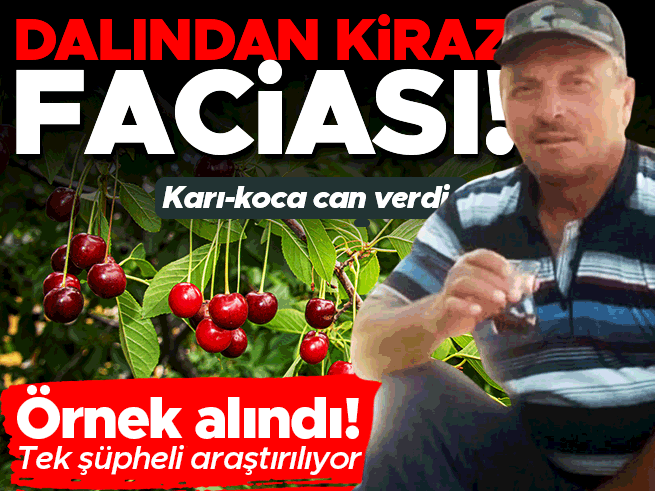 Kastamonu'da kiraz yiyen çift hayatını kaybetti: Tarım ilacı şüphesi