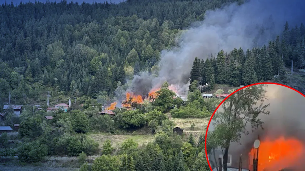 Kastamonu'da köyde yangın: 4 ev alevlere teslim oldu