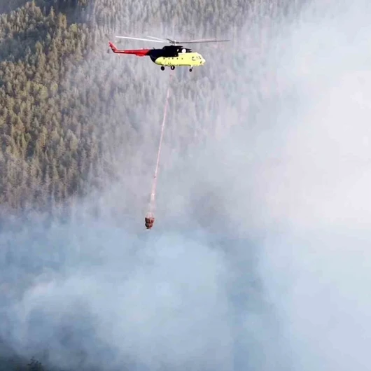 Kastamonu Taşköprü'de Orman Yangını Kontrol Altına Alındı
