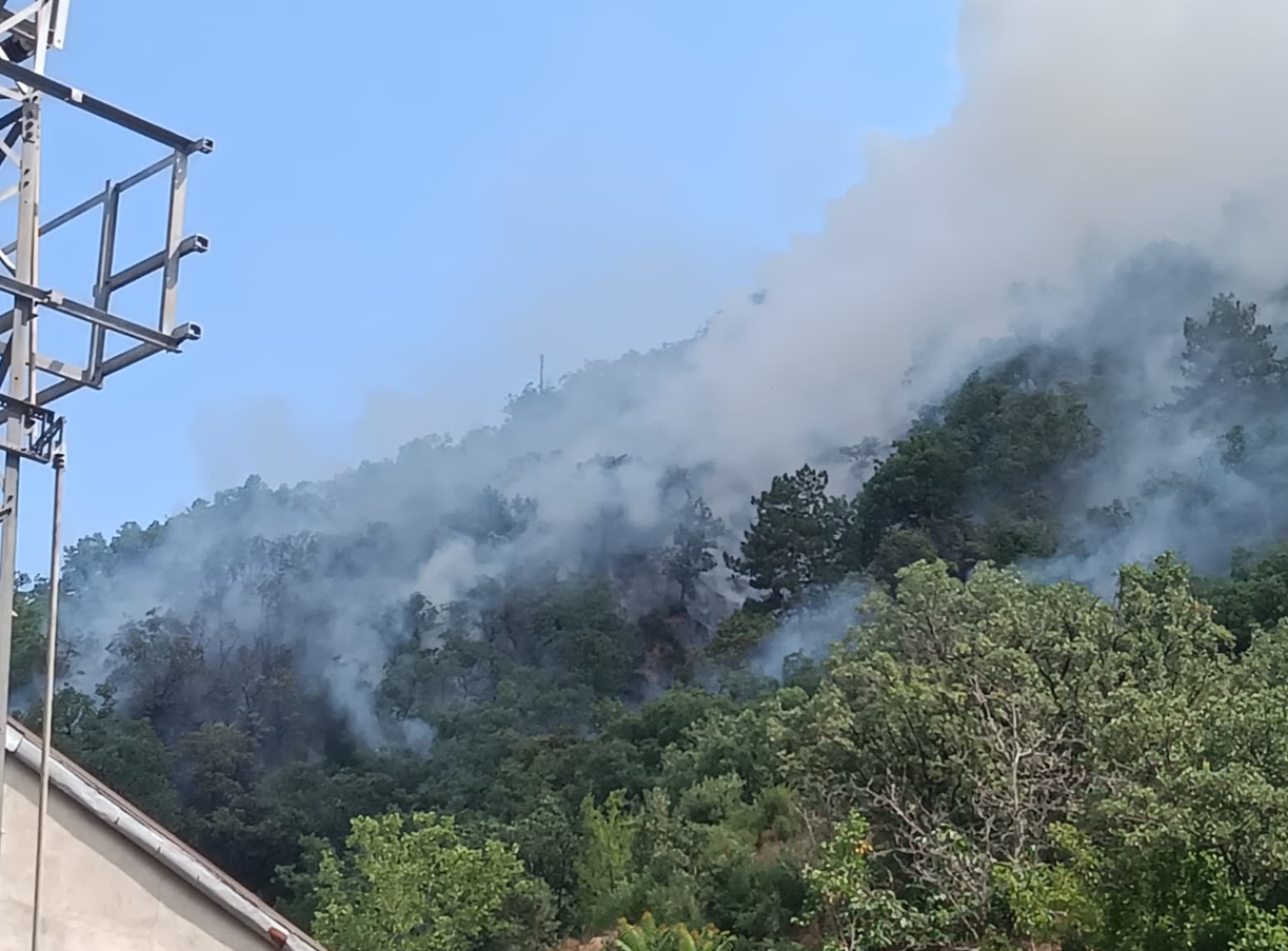 Kastamonu Tosya'da orman yangını: Ekipler müdahale ediyor