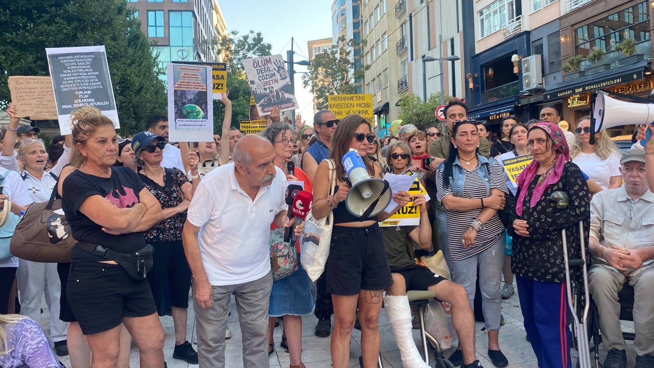 Katliam Yasası'nın 2. Yılında Sokak Hayvanları: Yüzde 92'si Toplatıldı