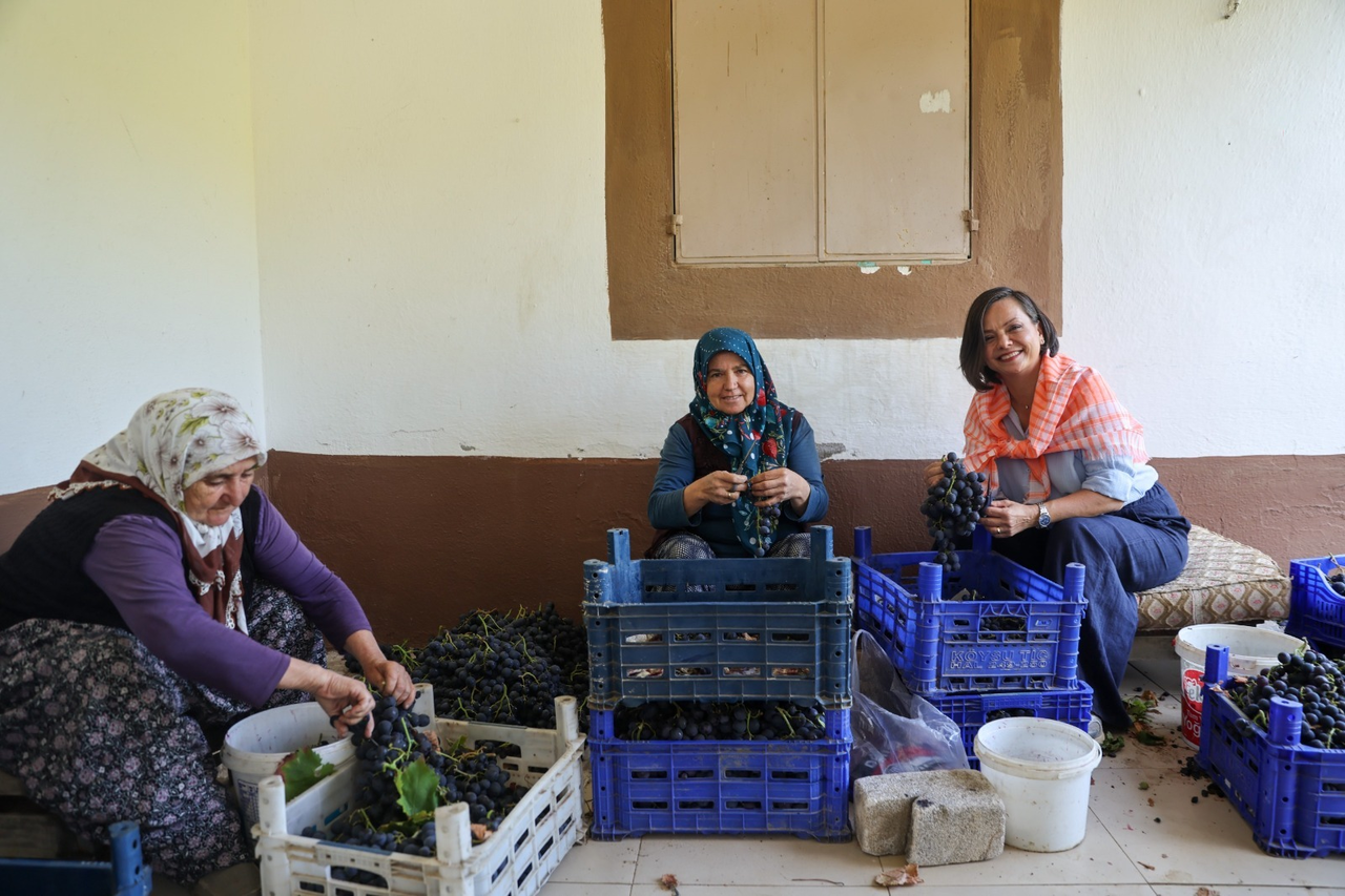 Kavacık Üzüm Festivali 19-20 Eylül'de Kapılarını Açıyor