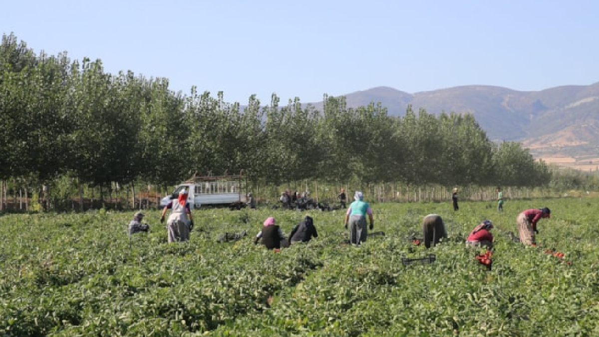 Kayseri'de 15 Günde Üretilen Ürünler 91 Ülkeye İhraç Ediliyor