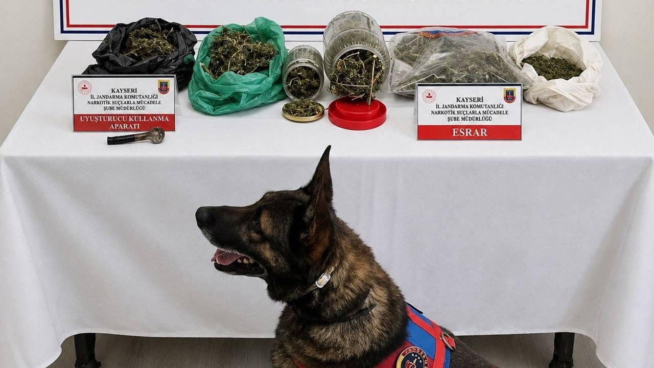 Kayseri'de Jandarma Operasyonu: 1,2 Kilo Esrar Ele Geçirildi