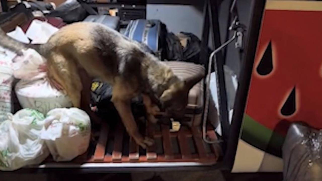 Kayseri'de Otobüs Operasyonu: 3 Kilo 420 Gram Uyuşturucu Ele Geçirildi, 2 Tutuklama