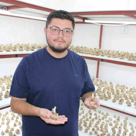 Kayseri'de Safran Üretimi: Kilosu 900 Bin TL'ye Ulaşan Ürün Şaşırttı
