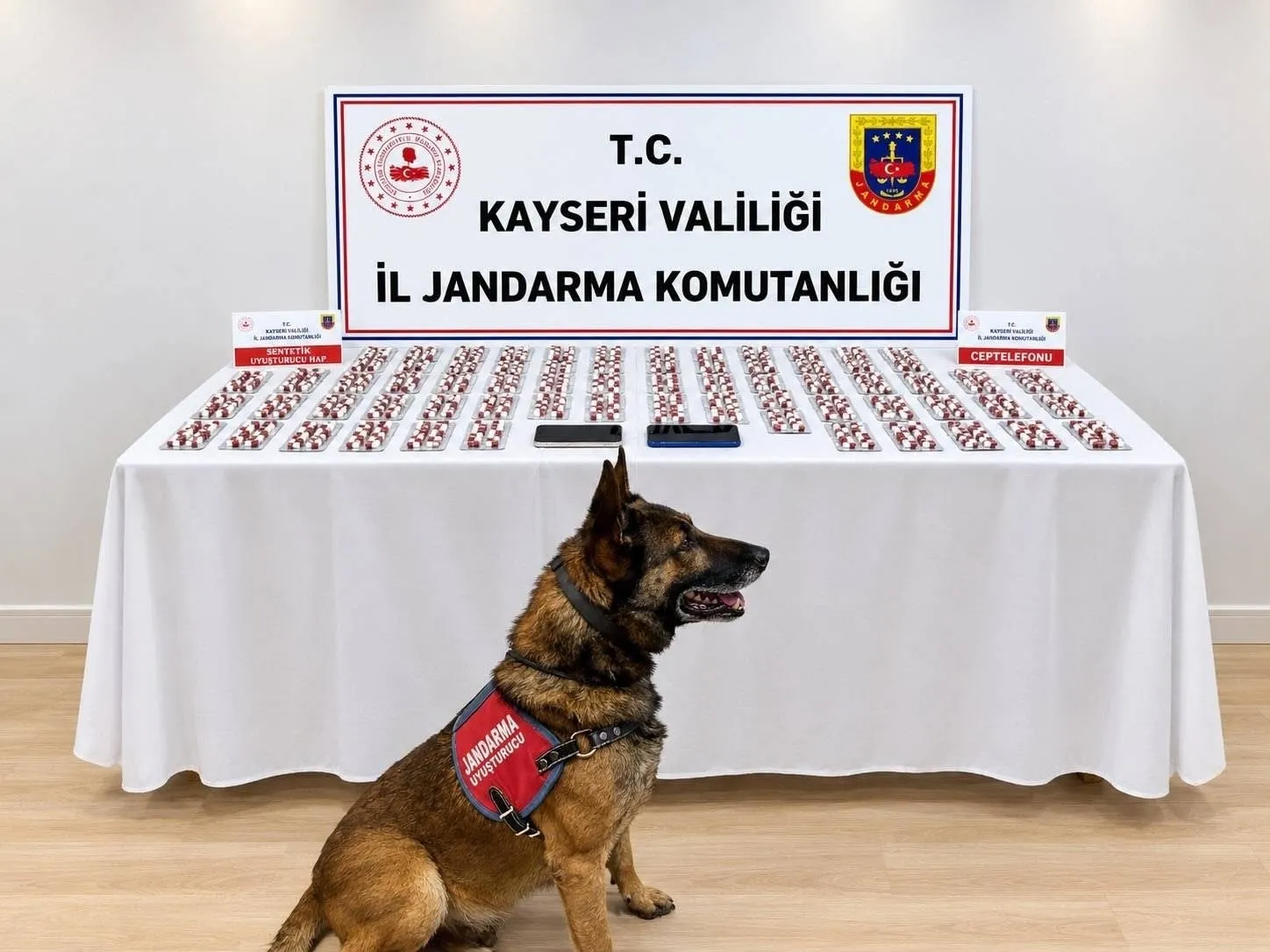 Kayseri'de Uyuşturucu Operasyonu: 1081 Sentetik Hap Ele Geçirildi