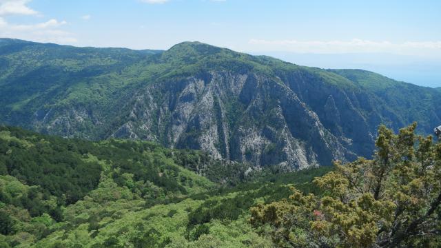 Kazdağları Milli Parkı'nın büyük bölümü 4 ay ziyarete kapatılıyor