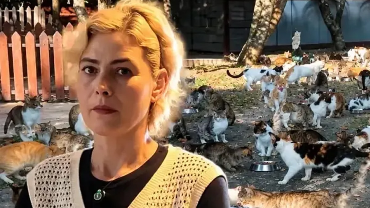 Kedileri Beslediği İçin İşten Çıkarıldığını İddia Etti