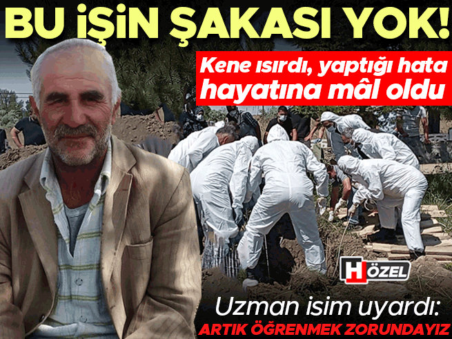 Vücudundaki keneyi kendisi çıkardı, 4 gün sonra öldü: Kene ısırmalarında ölümler artıyor