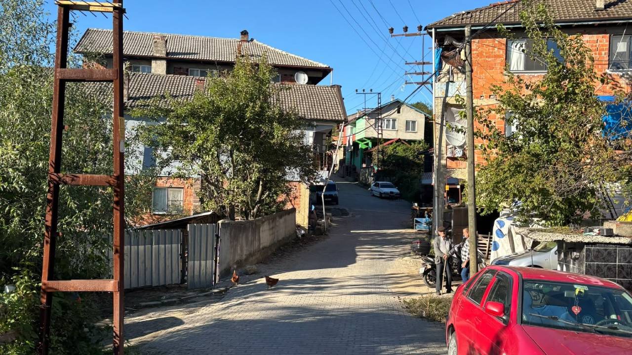 Kestane Toplamaya Gittiği Ormanda Ölü Bulundu