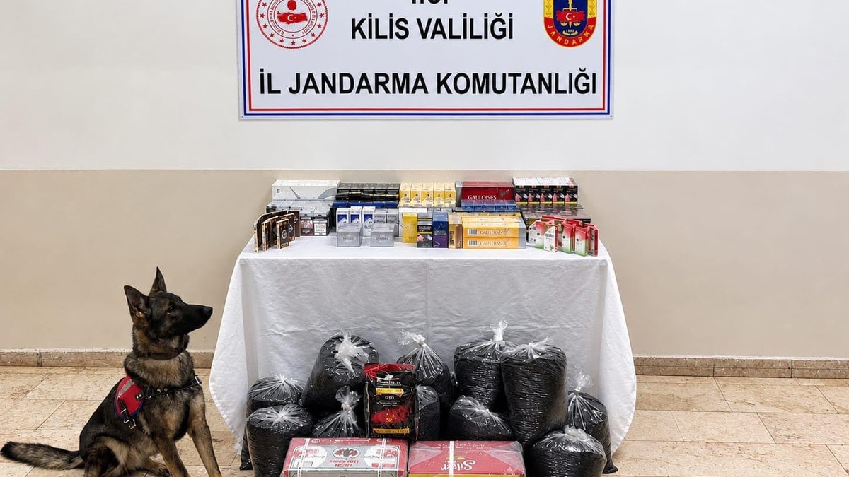 Kilis'te Kaçak Sigara ve Çaya Jandarma Baskını