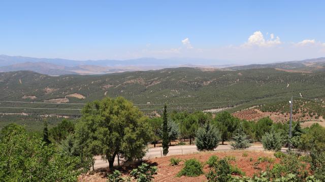 Kilis'te orman yangını tehlikesine karşı giriş yasağı