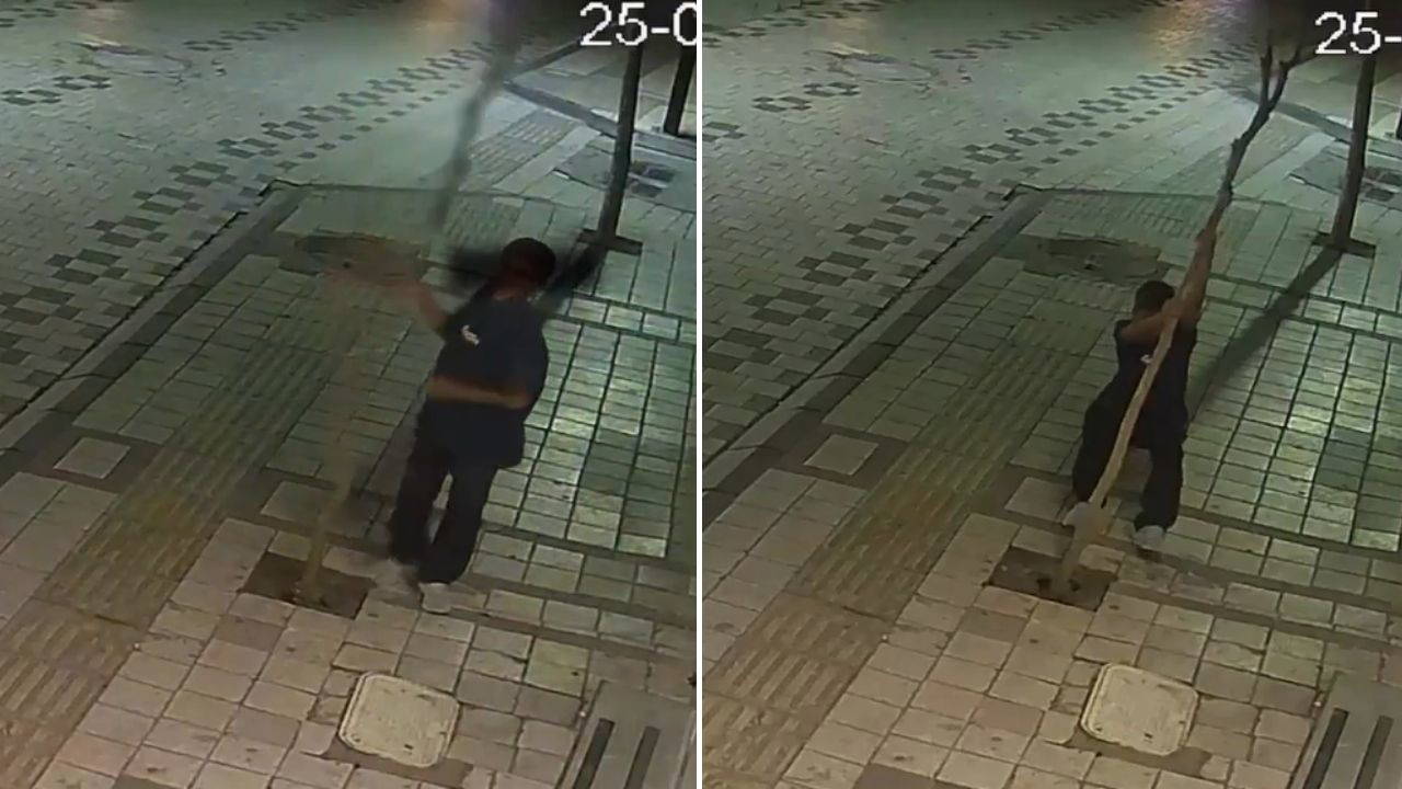 Kırklareli'nde 14 yaşındaki çocuk ağacı kırdı, soruşturma başlatıldı