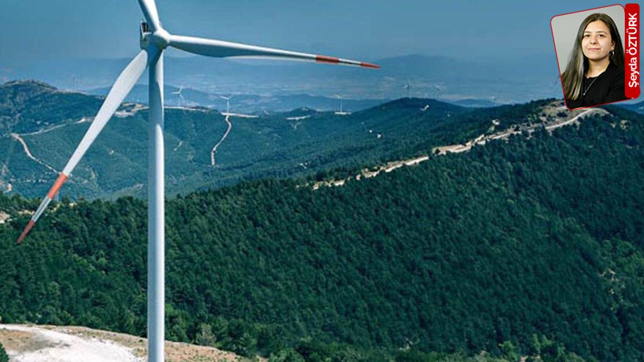 Kırklareli'nde 52 türbinlik RES için 36 bin 903 ağaç kesilecek