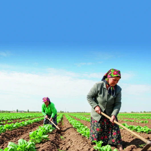 Kırsal kalkınmaya 1.2 milyar TL hibe desteği