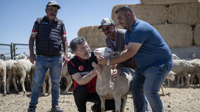 Kırsalda Bereket Projesi İlk Teslimatları Yapıldı, Genç ve Kadın Üreticiler Ön Planda