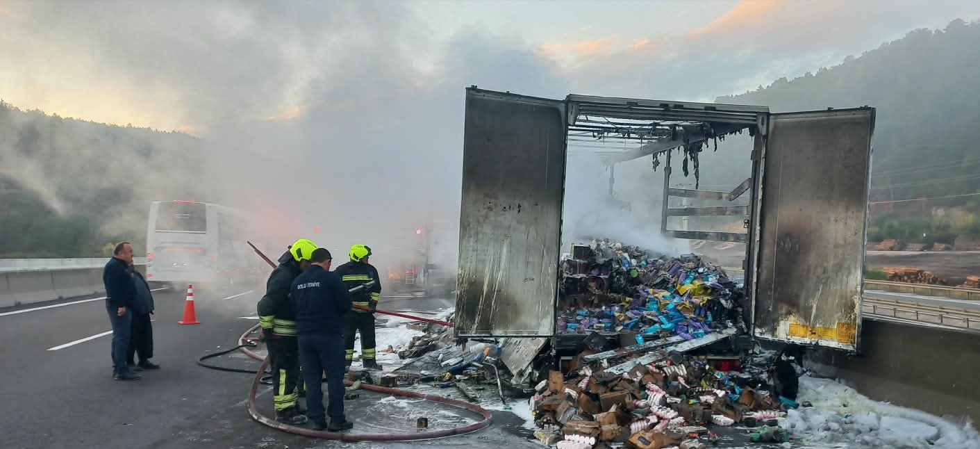 Kişisel Bakım Ürünleri Taşıyan TIR, Bolu'da Alevlere Teslim Oldu