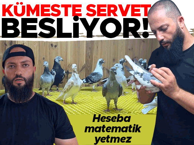 Klimalı Kümeste 400 Bin TL'lik Güvercinler