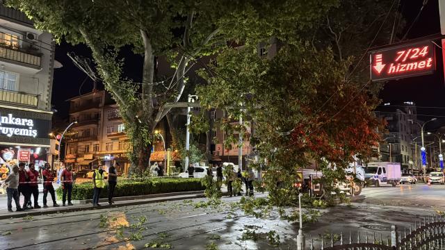Kocaeli'de Çınar Dalı Tramvay Seferlerini Aksattı