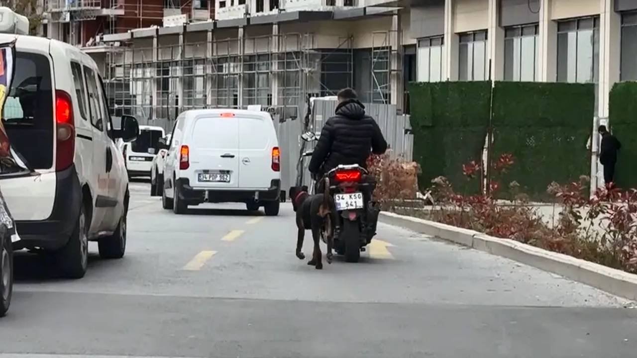 Köpeğini motosiklete bağlayıp koşturan kişiye para cezası tepki çekti