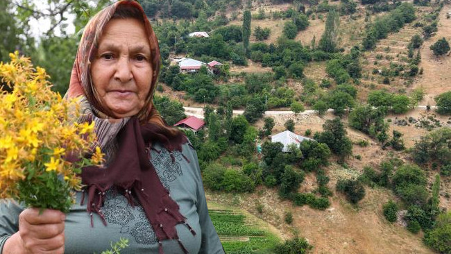 Köylüler 40 gün güneşte bekletip şifa deposu haline getiriyor