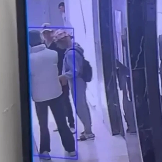 Küçükçekmece'de 4 hırsızı eve sokmayan 'Mucize' isimli kedi kapıda nöbet tuttu
